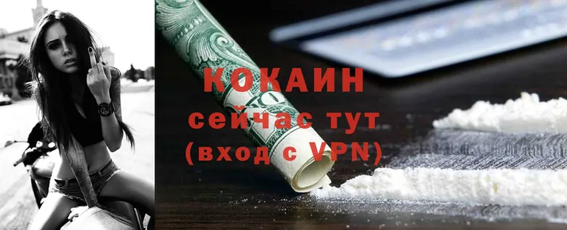 COCAIN FishScale  Красный Сулин 